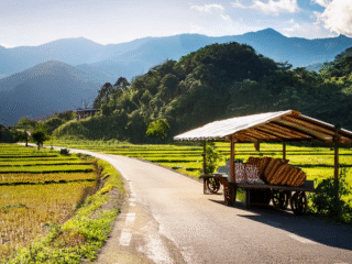 The vibrancy of Taiwanese culture