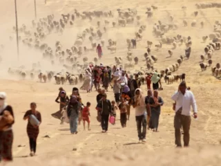 Roja Reş: Why the Yazidi People Commemorate the Horror of August 3
